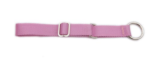 Alaskan Semi Slip Dog Collar - SnowPaw Store - Nordkyn - Dog Collars, Leads, Belts